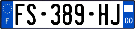 FS-389-HJ
