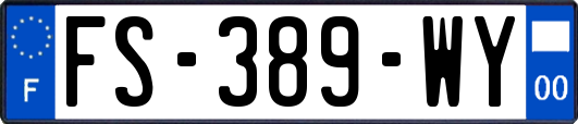 FS-389-WY