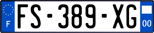 FS-389-XG
