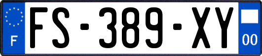 FS-389-XY