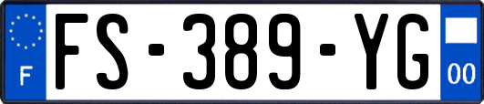 FS-389-YG