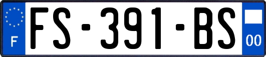 FS-391-BS