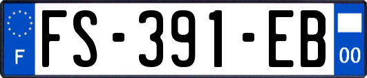 FS-391-EB
