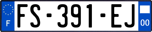 FS-391-EJ