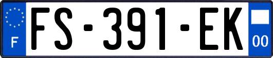 FS-391-EK