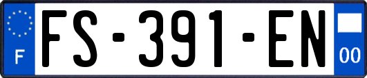 FS-391-EN