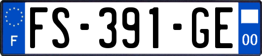 FS-391-GE