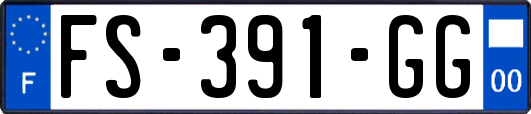 FS-391-GG