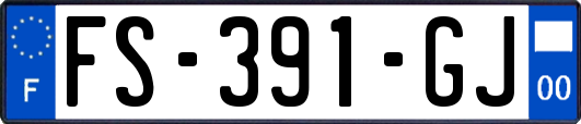 FS-391-GJ