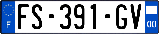 FS-391-GV