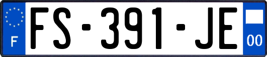 FS-391-JE