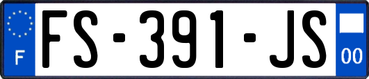 FS-391-JS