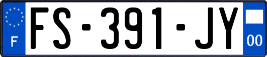 FS-391-JY