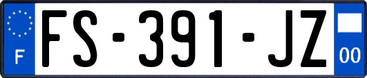 FS-391-JZ