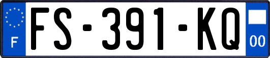 FS-391-KQ