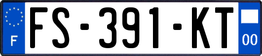 FS-391-KT