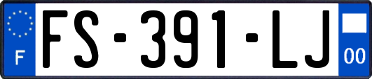 FS-391-LJ