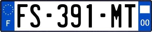 FS-391-MT