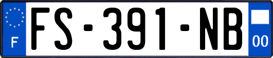 FS-391-NB