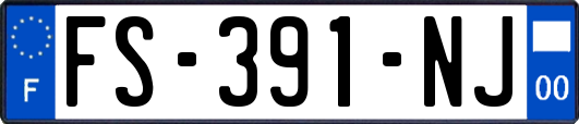 FS-391-NJ