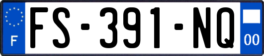 FS-391-NQ