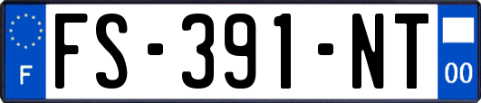 FS-391-NT