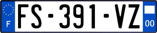 FS-391-VZ