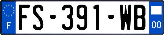 FS-391-WB