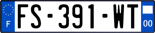 FS-391-WT