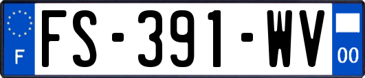 FS-391-WV