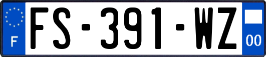FS-391-WZ