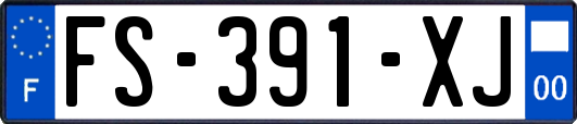 FS-391-XJ