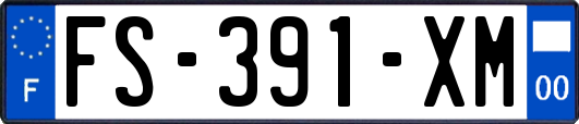 FS-391-XM