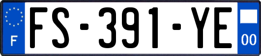 FS-391-YE