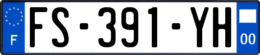 FS-391-YH