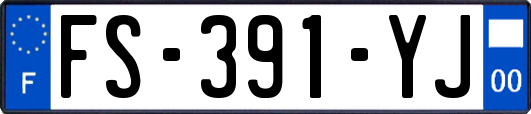 FS-391-YJ