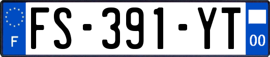 FS-391-YT