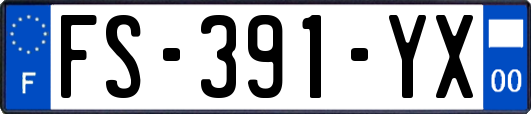 FS-391-YX