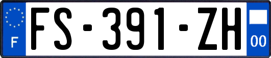 FS-391-ZH