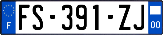 FS-391-ZJ