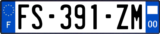 FS-391-ZM