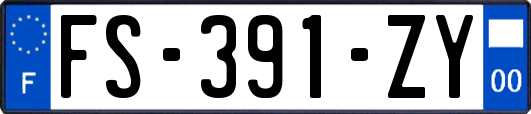 FS-391-ZY