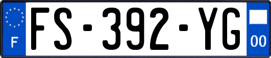 FS-392-YG