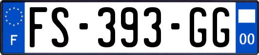 FS-393-GG