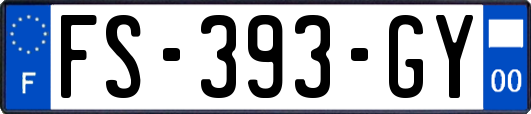 FS-393-GY