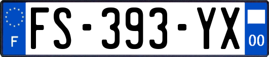 FS-393-YX