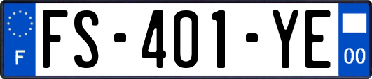 FS-401-YE