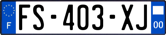 FS-403-XJ