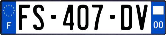 FS-407-DV