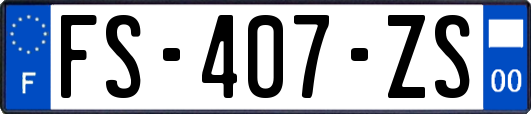 FS-407-ZS